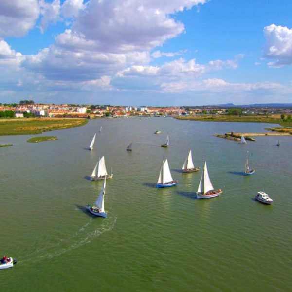 WhatsApp Image 2022-10-14 at 11.57.01 (1)