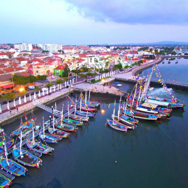 WhatsApp Image 2022-10-14 at 11.57.01