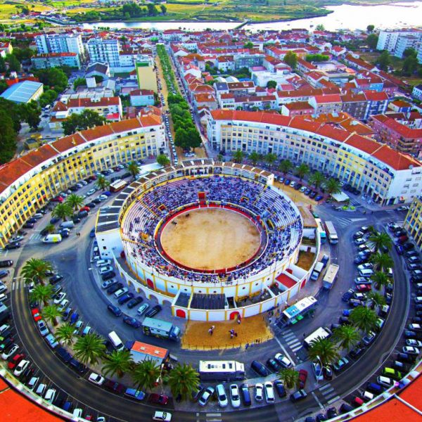 WhatsApp Image 2022-10-14 at 11.57.02 (1)